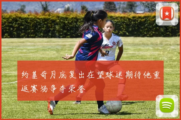 约基奇月底复出在望球迷期待他重返赛场争夺荣誉