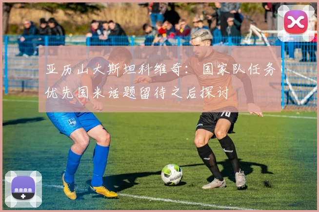 亚历山大斯坦科维奇：国家队任务优先国米话题留待之后探讨