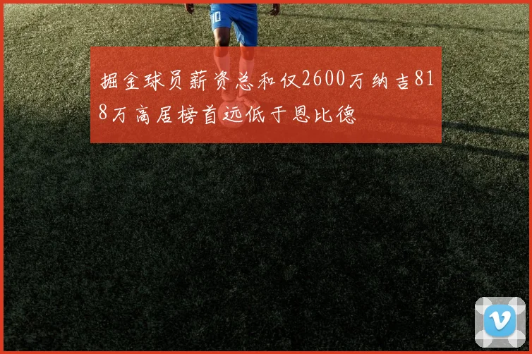 掘金球员薪资总和仅2600万纳吉818万高居榜首远低于恩比德