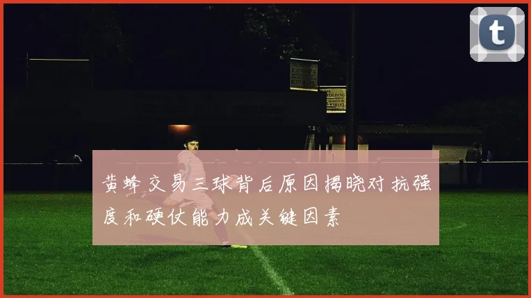 黄蜂交易三球背后原因揭晓对抗强度和硬仗能力成关键因素